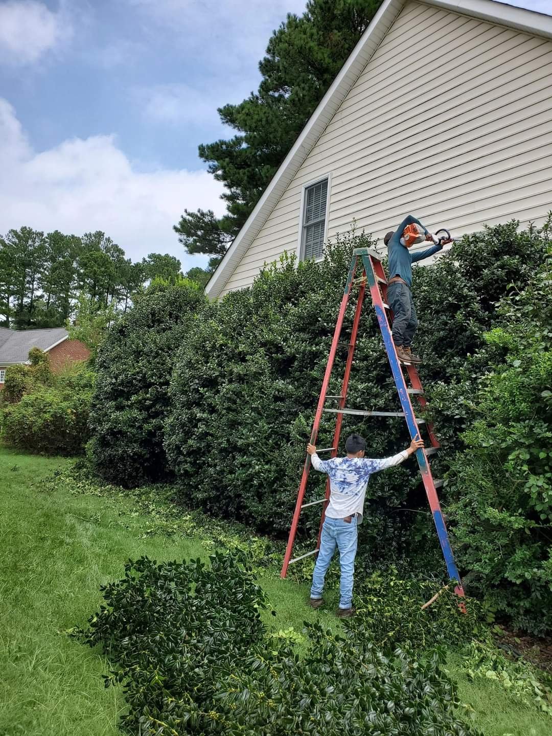 Tree trimming work